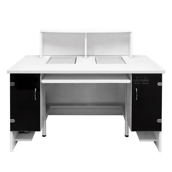 Dual Balance Workstation